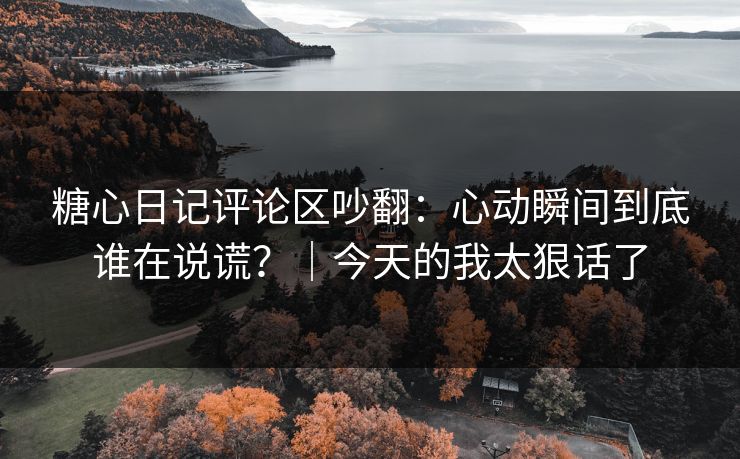 糖心日记评论区吵翻：心动瞬间到底谁在说谎？｜今天的我太狠话了