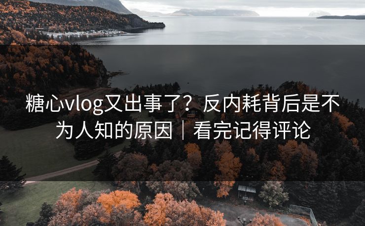 糖心vlog又出事了?反内耗背后是不为人知的原因|看完记得评论 糖心vlog又出事了?反内耗背后是不为人知的原因|看完记得评论