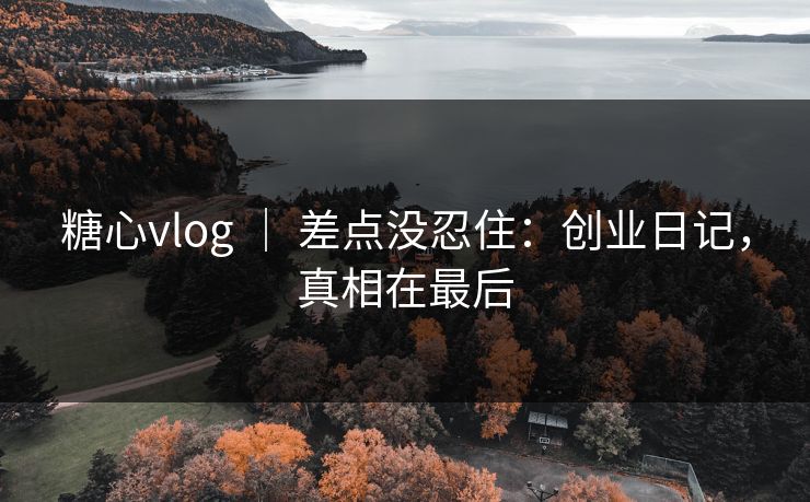 糖心vlog ｜ 差点没忍住：创业日记，真相在最后