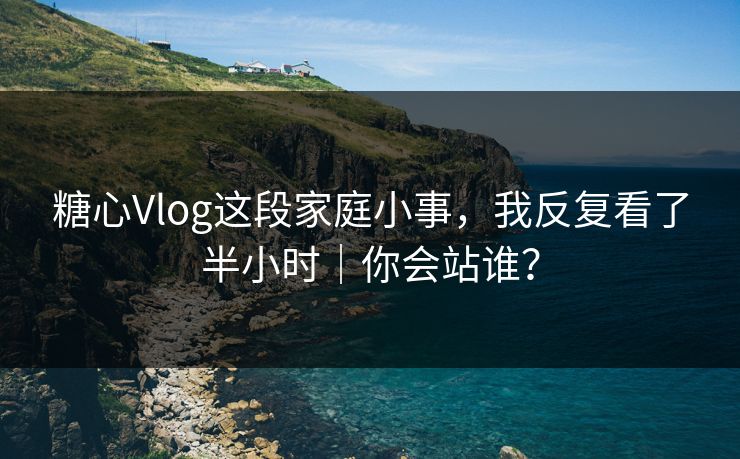 糖心Vlog这段家庭小事，我反复看了半小时｜你会站谁？