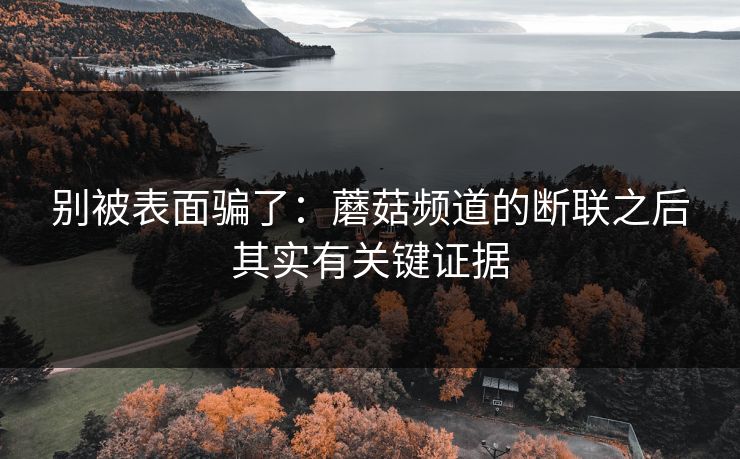 别被表面骗了：蘑菇频道的断联之后其实有关键证据