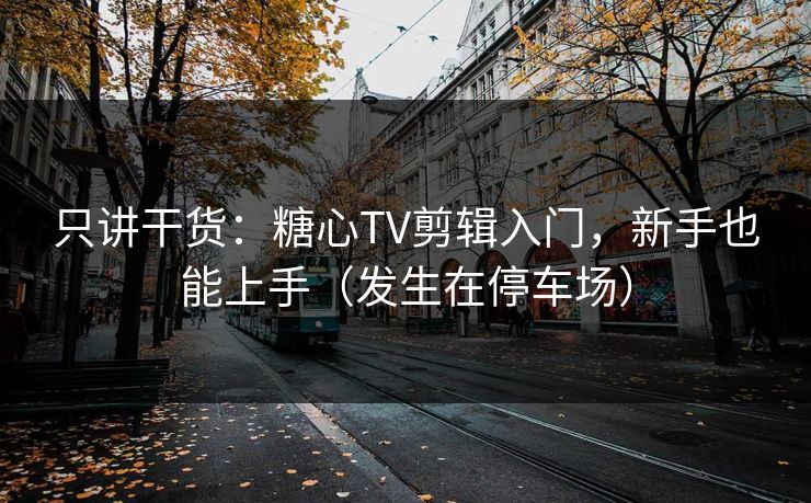 只讲干货：糖心TV剪辑入门，新手也能上手（发生在停车场）