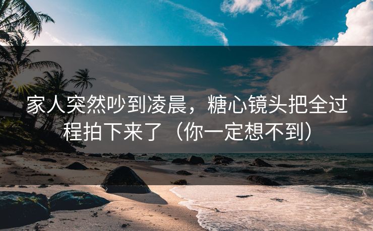 家人突然吵到凌晨,糖心镜头把全过程拍下来了(你一定想不到) 家人突然吵到凌晨,糖心镜头把全过程拍下来了(你一定想不到)
