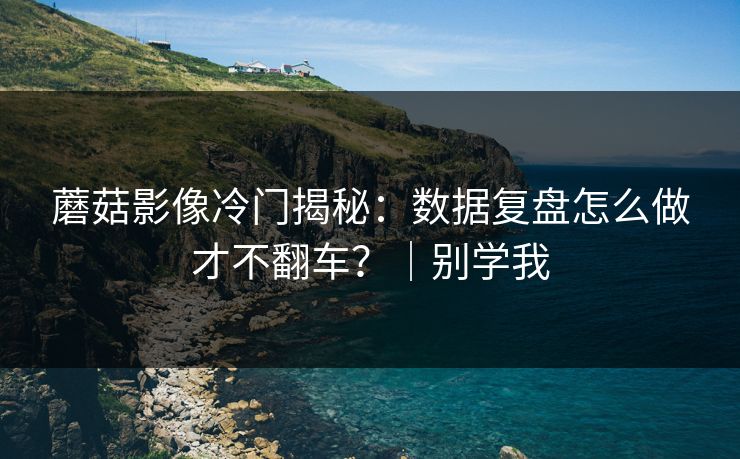 蘑菇影像冷门揭秘:数据复盘怎么做才不翻车?|别学我 蘑菇影像冷门揭秘:数据复盘怎么做才不翻车?|别学我