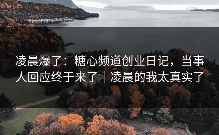 凌晨爆了：糖心频道创业日记，当事人回应终于来了｜凌晨的我太真实了