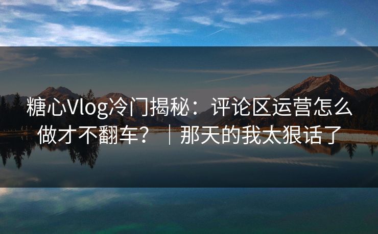 糖心Vlog冷门揭秘：评论区运营怎么做才不翻车？｜那天的我太狠话了