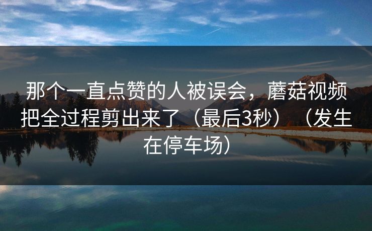那个一直点赞的人被误会，蘑菇视频把全过程剪出来了（最后3秒）（发生在停车场）