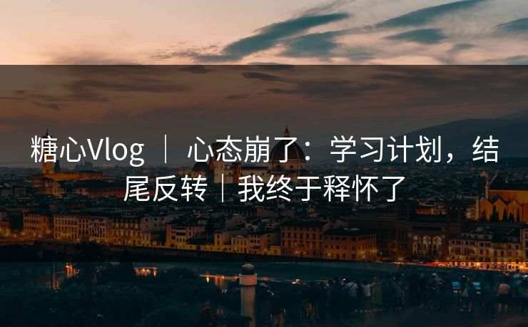 糖心Vlog | 心态崩了:学习计划,结尾反转|我终于释怀了 糖心Vlog | 心态崩了:学习计划,结尾反转|我终于释怀了