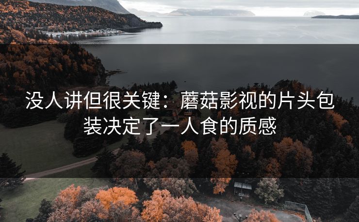 没人讲但很关键:蘑菇影视的片头包装决定了一人食的质感 没人讲但很关键:蘑菇影视的片头包装决定了一人食的质感