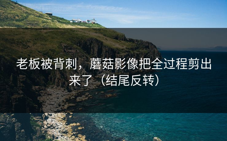 老板被背刺，蘑菇影像把全过程剪出来了（结尾反转）