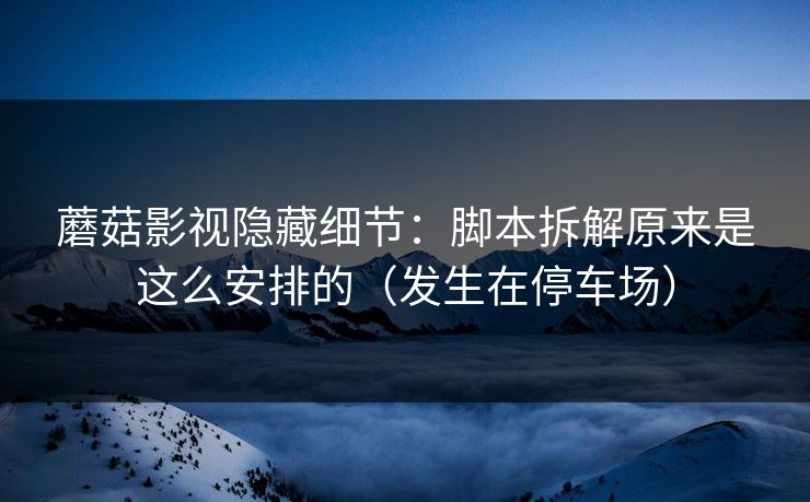 蘑菇影视隐藏细节：脚本拆解原来是这么安排的（发生在停车场）